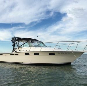 Meet your Posher, Mike